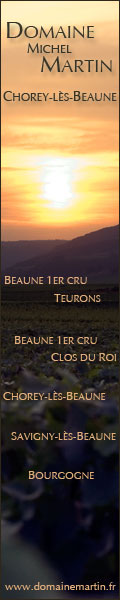 Domaine Martin