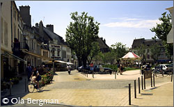 Place Carnot, Beaune, Burgundy.