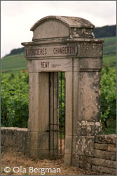 Latricieres-Chambertin, Domaine Remy.
