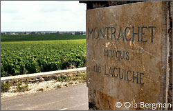 The Montrachet vineyard in Puligny-Montrachet owned by Marquis de Laguiche.