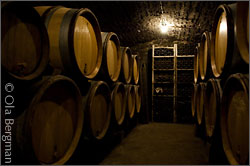 Barrels in a Burgundian cellar.
