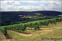 Bourgogne Hautes-Côtes de Beaune 