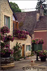 Vosne-Romanée, Burgundy.