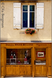 Domaine Roger Belland, Santenay