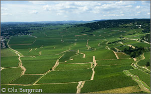 View over the Beaune vineyards.
