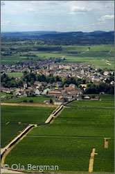Aerial view of Meursault.