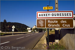 Auxey-Duresses, Burgundy.