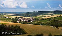 Chitry-le-Fort, Burgundy.