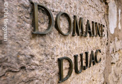Domaine Dujac in Burgundy.