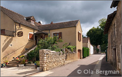 Domaine Olivier, Santenay.