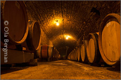 Domaine Seguin-Manuel, Beaune.
