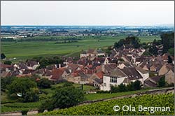 Volnay, Burgundy.