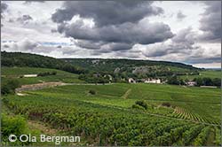 Chambolle-Musigny, Burgundy.
