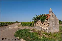 Beaune, Les Tuvilains.