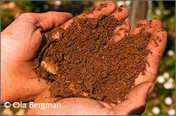 Red soil from Bourgogne Hautes-Côtes de Beaune.