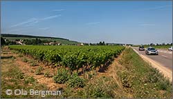 Aloxe-Corton, Les Cras.