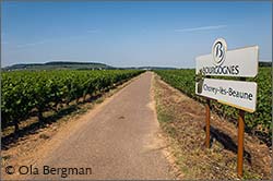 Chorey-lès-Beaune, Burgundy.