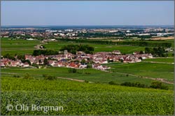 View over Pommard, Burgundy.