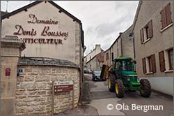 Domaine Denis Boussey in Monthelie, Burgundy.