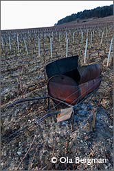 Clos des Chênes, Volnay.