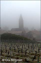 Clos des Rocs, Pouilly-Loché – Domaine du Clos des Rocs.