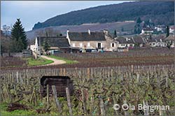 Rully, Burgundy.