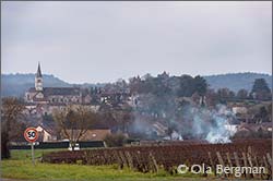 Rully, Burgundy.