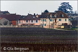 Domaine Bernard-Bonin in Meursault, Burgundy.