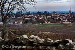 Meursault, Burgundy.