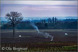 Meursault, Burgundy.