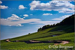 Les Saint-Georges and Vaucrains in Nuits-Saint-Georges.