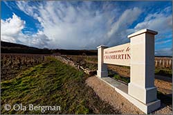 Chambertin in Gevrey-Chambertin, Burgundy.