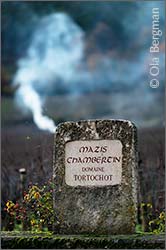 Mazis-Chambertin in Gevrey-Chambertin, Burgundy.