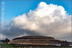 The Corton hill, Burgundy.