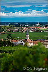 Aloxe-Corton, Burgundy.