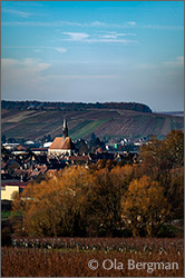 Chablis seen from Le Bas de Chapelot.