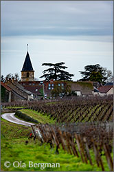 Vosne-Romanée, Burgundy.