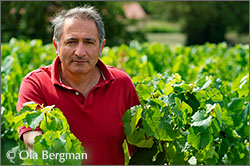 Jean-Claude Royet at Domaine Royet, Combereau, Burgundy.
