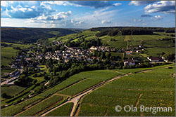 Pernand-Vergelesses in Burgundy.