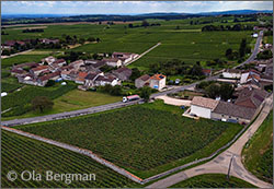 Clos de Chapotin, Viré, Burgundy.