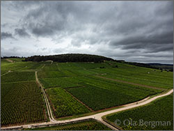 Volnay premier cru Clos des Chênes.
