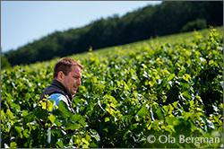 Jérôme Després at Domaine Françoise André in Beaune.
