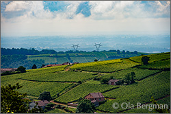 Solutré-Pouilly in the Mâconnais, Burgundy.