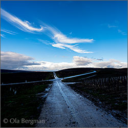 Chablis grand cru Les Preuses.