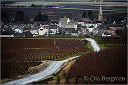 Meursault, Burgundy.
