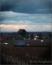 Mercurey, Burgundy.