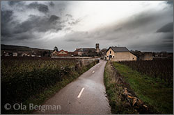 Pommard, Burgundy.