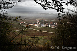 Volnay, Burgundy.