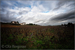 Mercurey premier cru La Chassière.