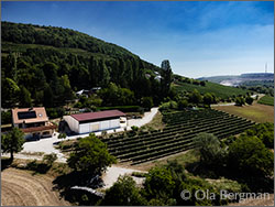 Domaine Moë in Villars-Fontaine, Burgundy.